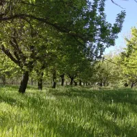 باغ-دربند