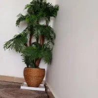 خانه واشپزخانه