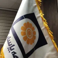 کارشناس مالی