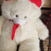 لوازم منزل|لوازم نظافت|خمینی‌شهر, |دیوار