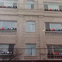 نسل جدید گلدان