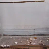 آکواریوم بزرگ|ماهی|سندرک, |دیوار