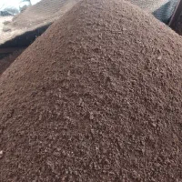 پخش خاک گلهای اپارتمانی|گل و گیاه طبیعی|لاهیجان, امیرشهید|دیوار