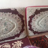 یک جفت ‌پشتی  سالم
