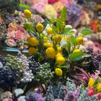 شاخه لیمو مصنوعی|گل مصنوعی|تهران, بازار|دیوار