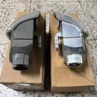 یک جفت راهنما زانتیا