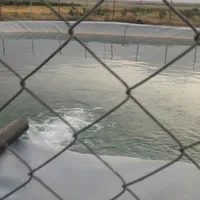 فروش باغ و زمین دو هکتاری پسته و انار لالایین فوری|فروش زمین و ملک کلنگی|ساوه, |دیوار