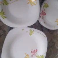 ارکوپال