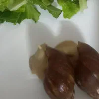 حلزون|خزنده|دورود, |دیوار