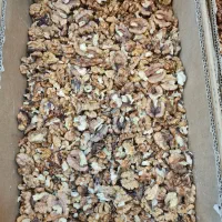 فروش مستقیم گردو بادام مغز تویسرکان|خوردنی و آشامیدنی|اسلام‌شهر, شهرک قائمیه|دیوار