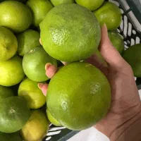 لیموشیرین دست چین  رودان
