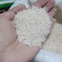 برنج هاشمی خالص از کشاور