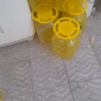 دبه خیارشور