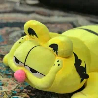 عروسک|اسباب‌‌بازی|کلاچای, |دیوار