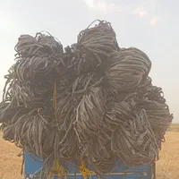 خرید و فروش انواع طیف محمدرضا علیزاده|حراج|اقبالیه, |دیوار