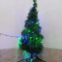 فروش درخت کریسمس|گل مصنوعی|شیراز, گود خزینه|دیوار