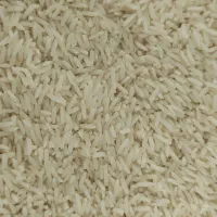 برنج دمسیاه