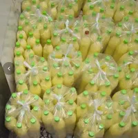 اب غوره ابغوره تازه امسال  ابلیمو  اب لیمو