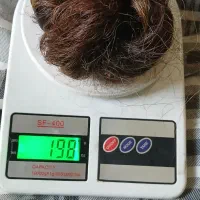 مرکز مو طبیعی