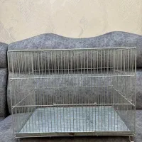 قفس غلامی درحد نو