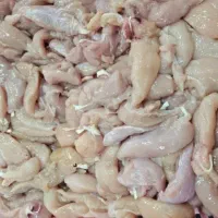 شنسل ، ران ، فیله ، بال ، قطع بندی مرغ