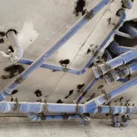 تاسیسات آبرسانی و فاضلاب نصب و تعمیرات|خدمات پیشه و مهارت|کیش, |دیوار