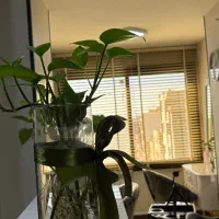 اجاره اتاق و‌ لاین زیبایی