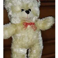 خرس 60 سانتی