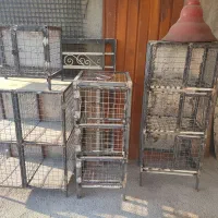 جفت کن کبوتر اهنی