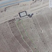 زمین انگوری شول