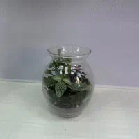 ترایوم امیستا گل مدل رستا