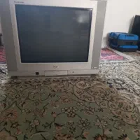 تلویزیون