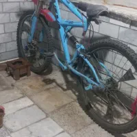 دوچرخه ویوا