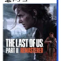دیسک بازی Red dead 2 و The Last Of Us2