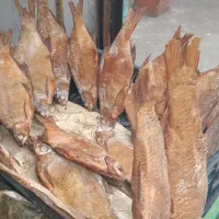 بیکت دودی|ماهی|رشت, شالکو|دیوار