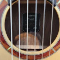 گیتار رکورد و استیج ncx5 ncx3c Godin