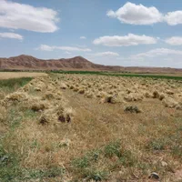 دروگر مدل۷۷ موتور ۸۷۰ایتالیایی با ۳عددجلوبندی|خودرو سنگین|تبریز, |دیوار