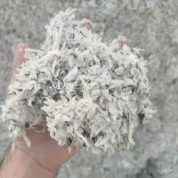 علوفه سوپردان کشت اول کردستان وتفاله چغندر قند|لوازم جانبی حیوانات|سراب, |دیوار