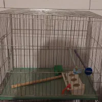 قفس|لوازم جانبی حیوانات|بروجن, |دیوار