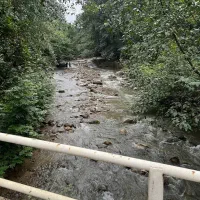 کلبه جنگلی کنار رودخونه ارتفاعات|اجارهٔ کوتاه‌مدت ویلا و باغ|ماسال, |دیوار