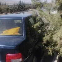 ماشین سالم و به قیمت مدل ۹۱موتور کم یزبکس به شرط|خودرو سواری و وانت|تهران, جی|دیوار