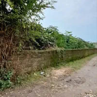 باغ کیوی|فروش زمین و ملک کلنگی|حویق, |دیوار