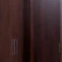 پرو و مانکن