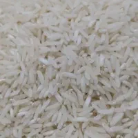 برنج کاملا طبیعی طارم دشت دیره سرپل ذهاب