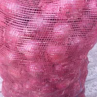 پیاز قرمز