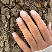 خدمات ویژه یلدایی لاین ناخن