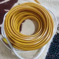 ریسه ال ای دی
