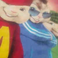 ۲تخته گلیم فرش