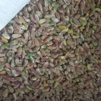 فروش عمده انواع پسته و مغز درجه یک و درجه دو