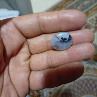 سنگ شجر|جواهرات|خمینیشهر, |دیوار